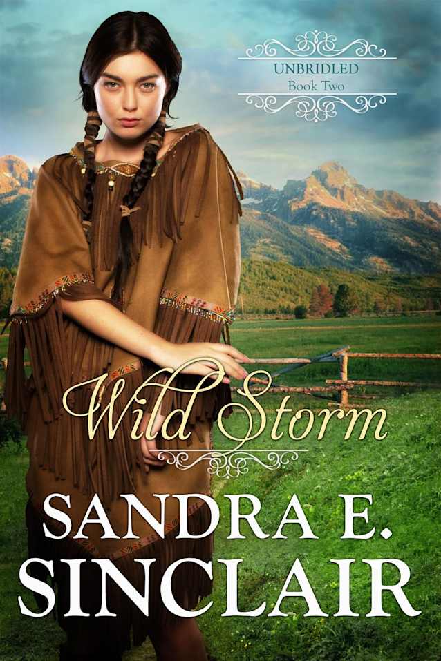 Wild Storm (The Unbridled  Series, #2)
