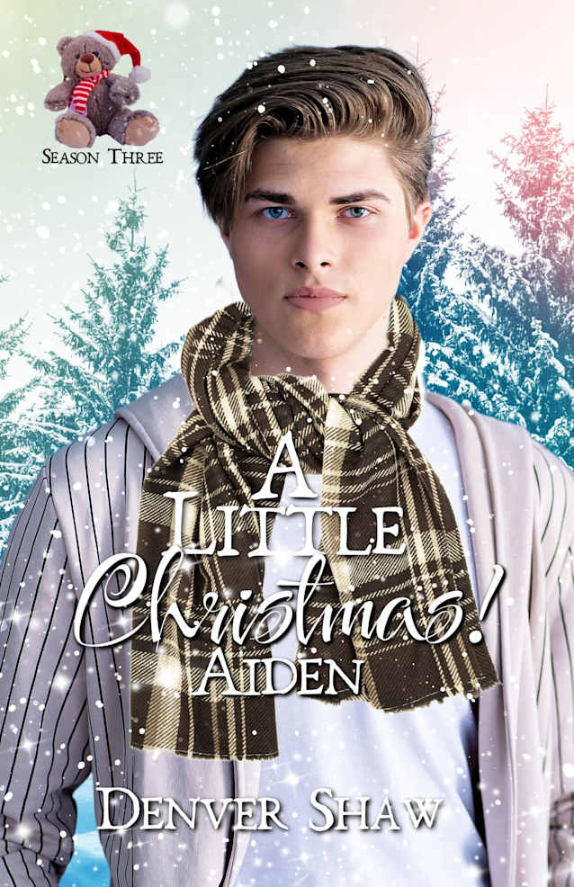 A Little Christmas 3: Aiden: 