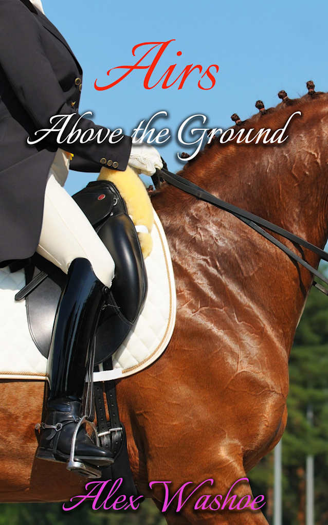 Airs Above the Ground: A Lesbian/Transgender Sports Romance (For the Love of the Game Book 6)