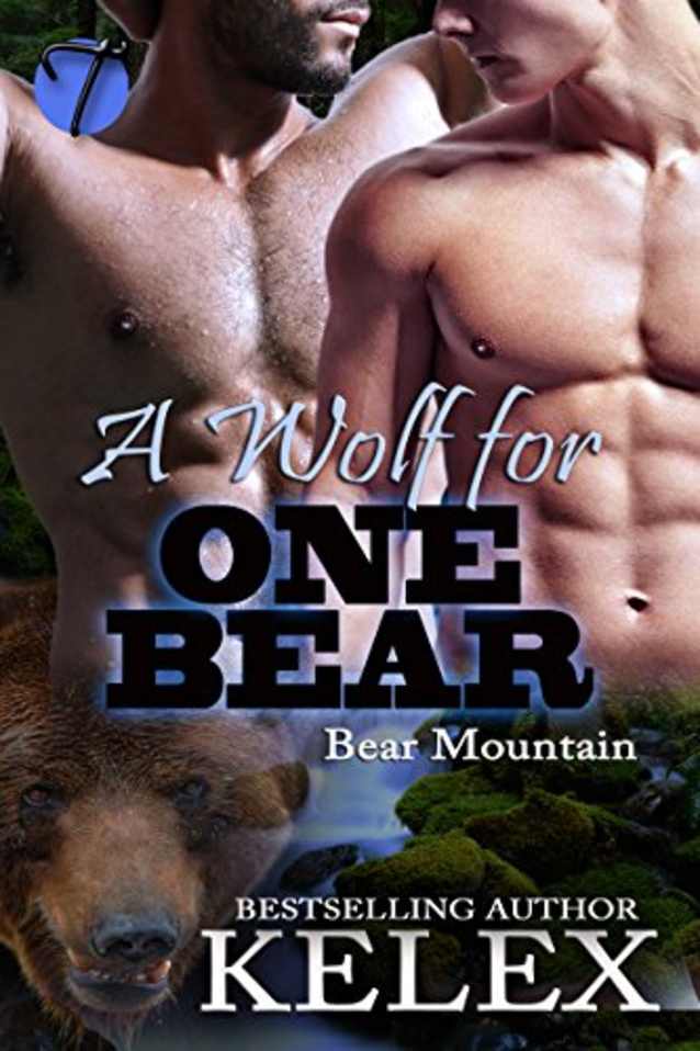A Wolf for One Bear