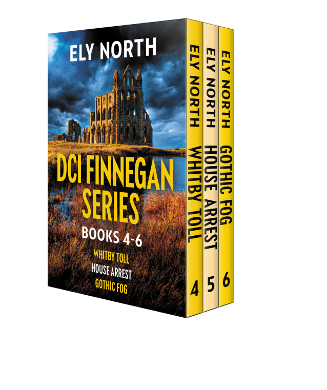 DCI Finnegan Series #2