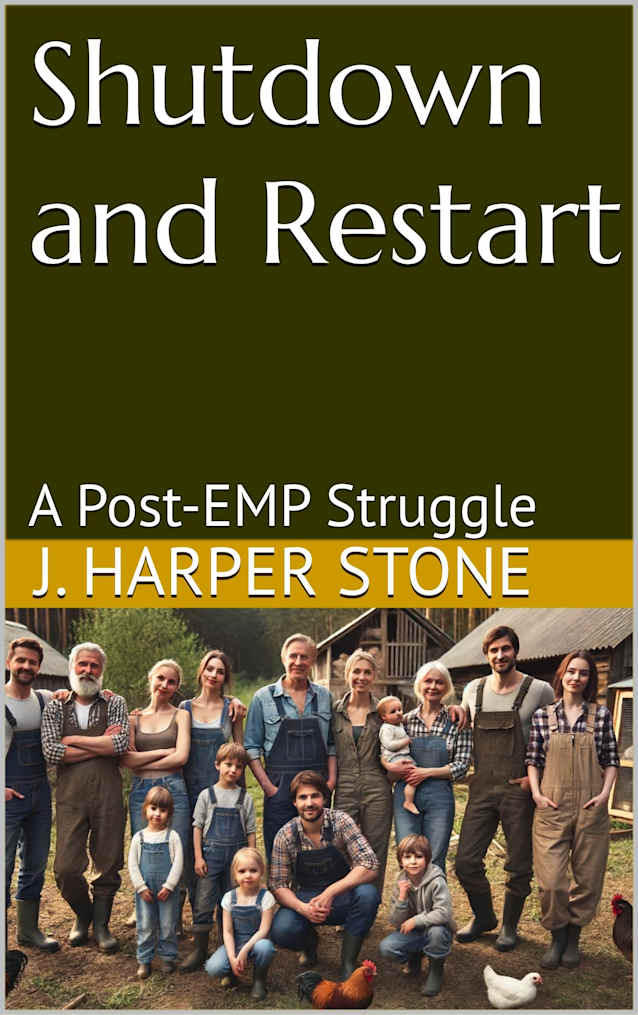 Shutdown and Restart: A Post-EMP Struggle
