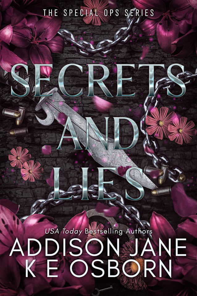 Secrets and Lies (The Special Ops Series, #5)
