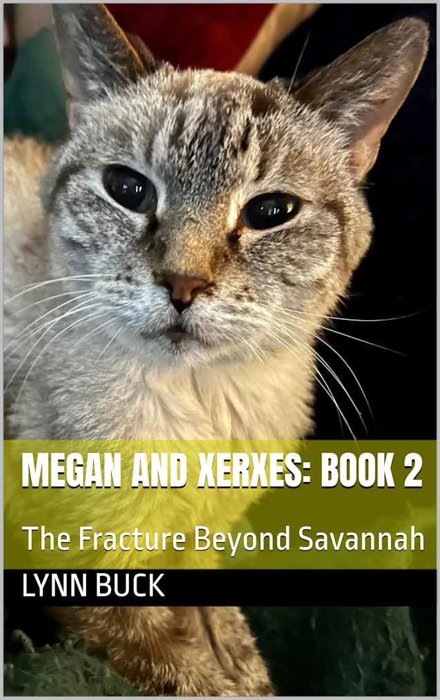 Megan and Xerxes: Book 2: The Fracture Beyond Savannah