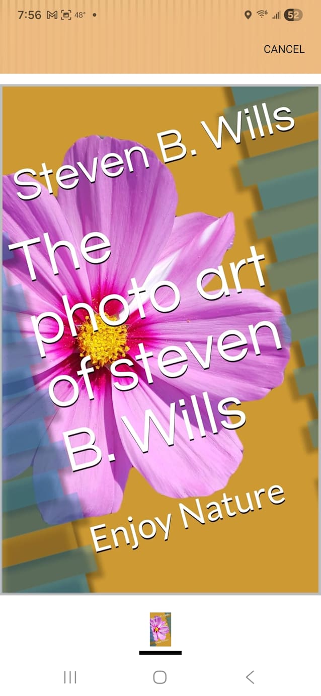 Steven Wills and his nature art 