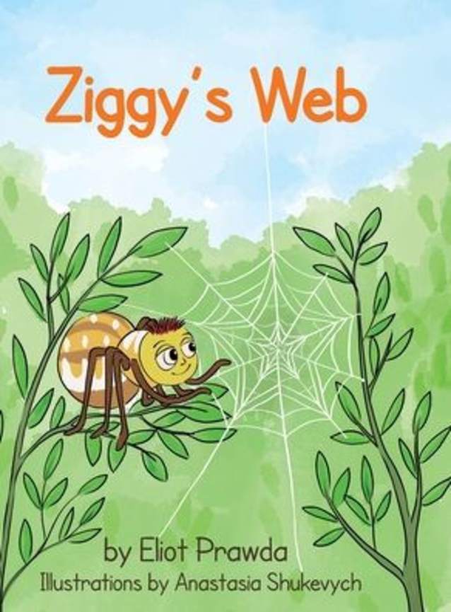 Ziggy's Web