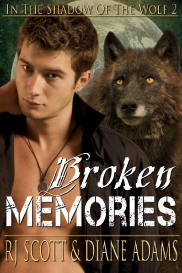 Broken Memories (In The Shadow Of The Wolf Book 2)