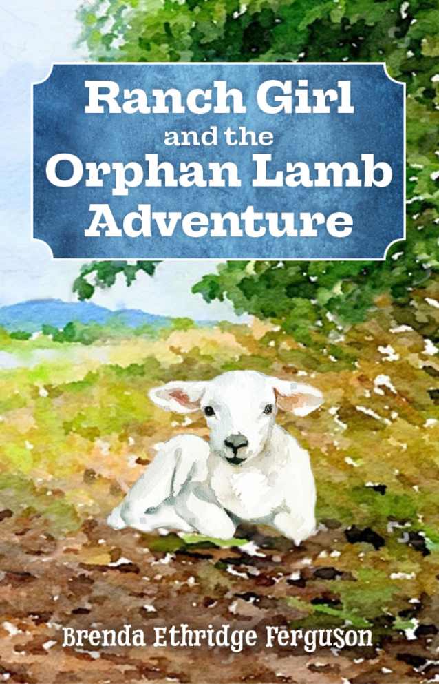 Ranch Girl and the Orphan Lamb Adventure