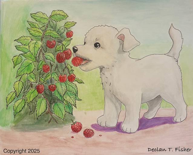 Oliver's Garden
