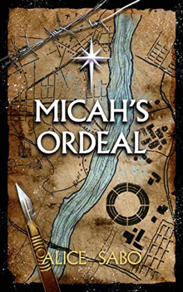 Micah’s Ordeal (Children of a Changed World Book 4)