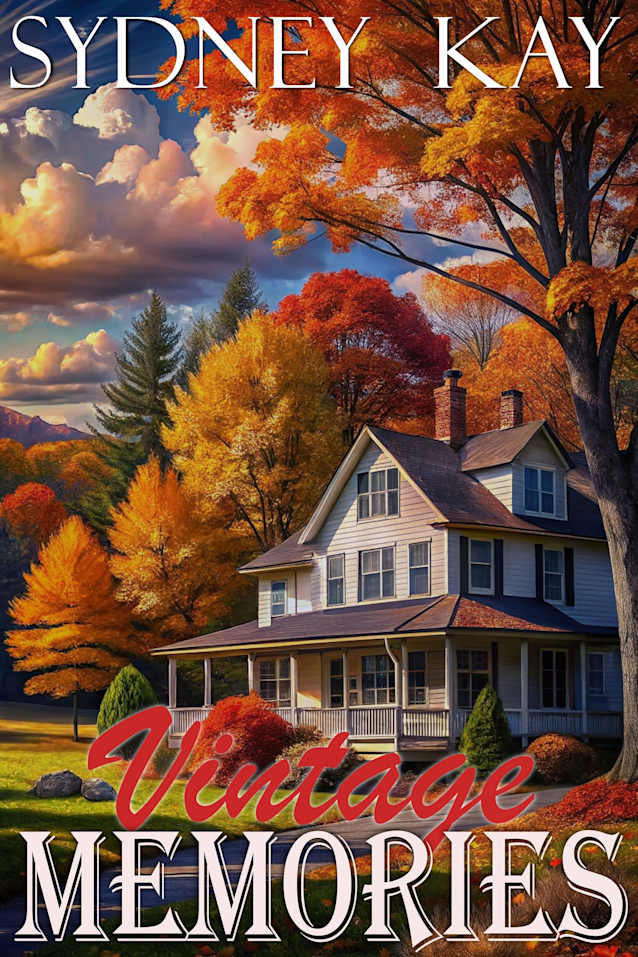 Vintage Memories: a steamy, small town, second chance with first love one hour romance short read (Mittersill Antiques Book 2)