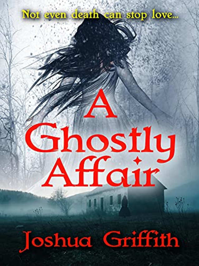 A Ghostly Affair: A paranormal romance