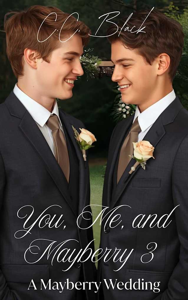 You, Me, and Mayberry 3