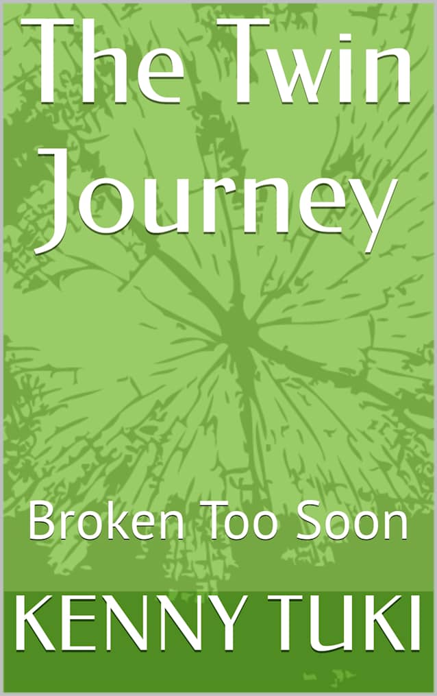 The Twin Journey: Broken Too Soon