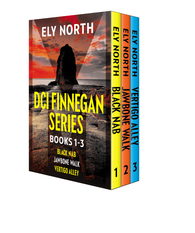 DCI Finnegan Series #1