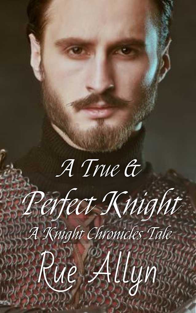A True and Perfect Knight (Knight Chronicles, #0)
