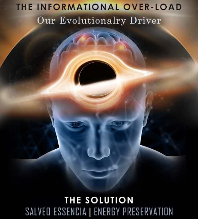 how humanity's swift successes are causing its ills