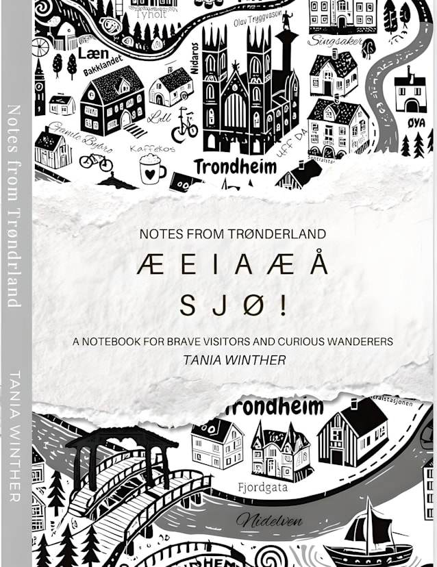 Notes From Trønderland: Æ E I A Æ Å SJØ!