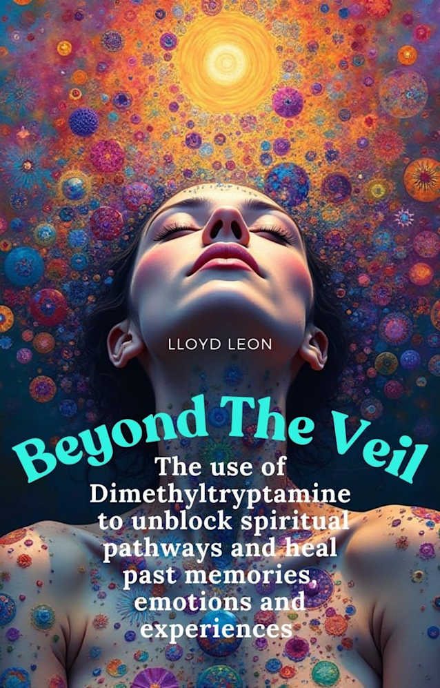 Beyond The Veil: Personal Transformations Through DMT Journeys
