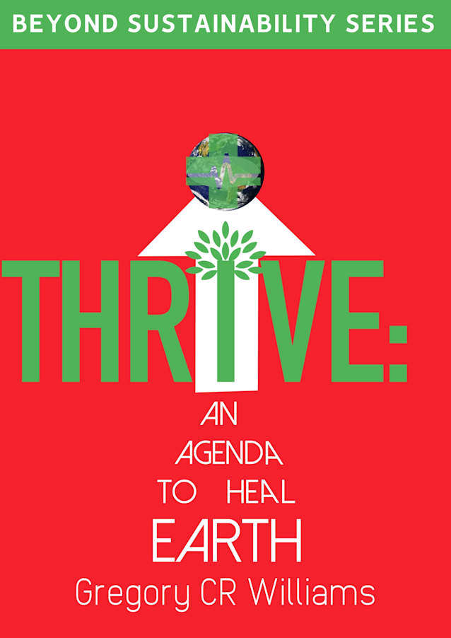 Thrive : A Personal Agenda to Heal Earth (Beyond Sustainability Series)