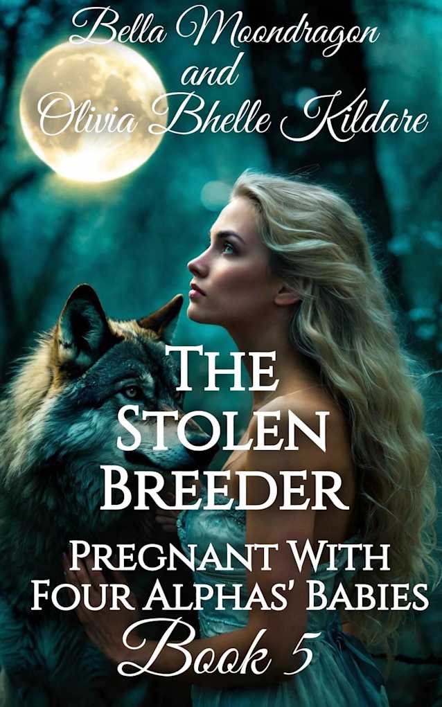 The Stolen Breeder (Pregnant With Four Alphas’ Babies, #5)