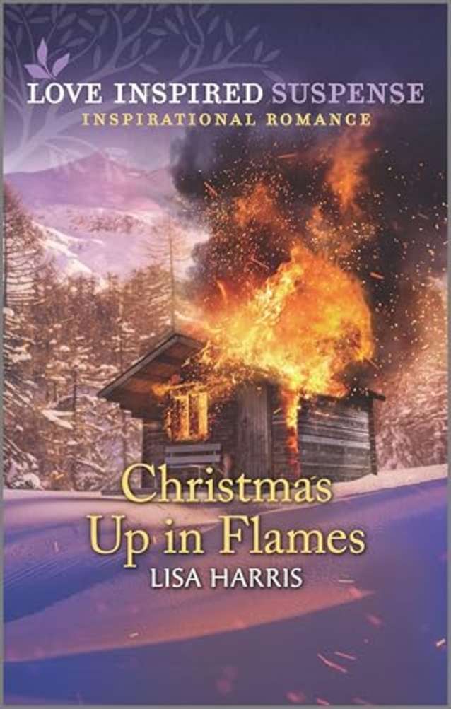 Christmas Up in Flames: O’Callaghan Brothers Book 4