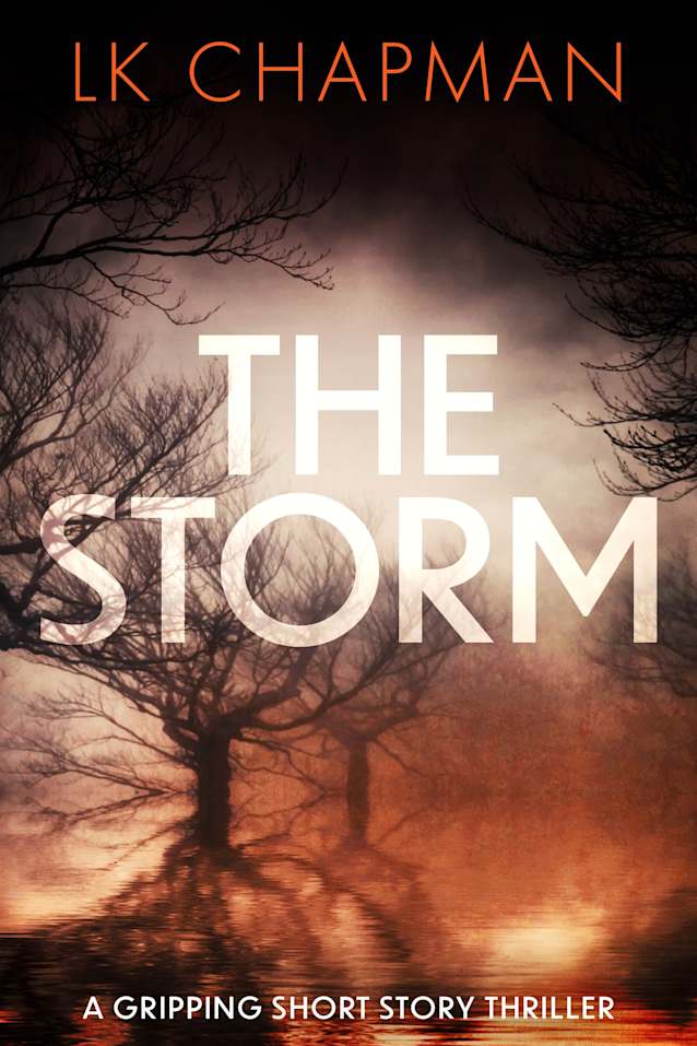 The Storm: A gripping short story thriller