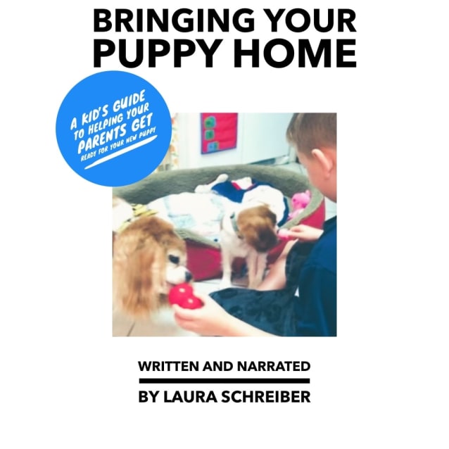 Bringing Your Puppy Home