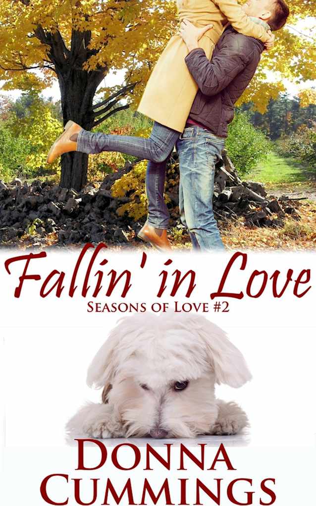 Fallin’ in Love (Seasons of Love)