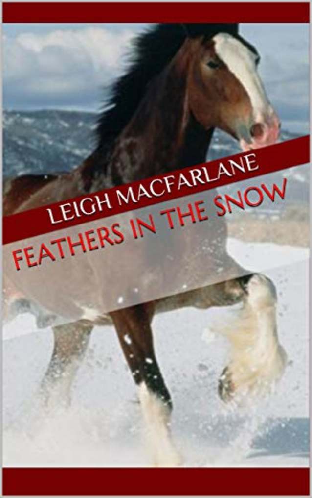 Feathers in the Snow (Near and Far Christmas Book 1)