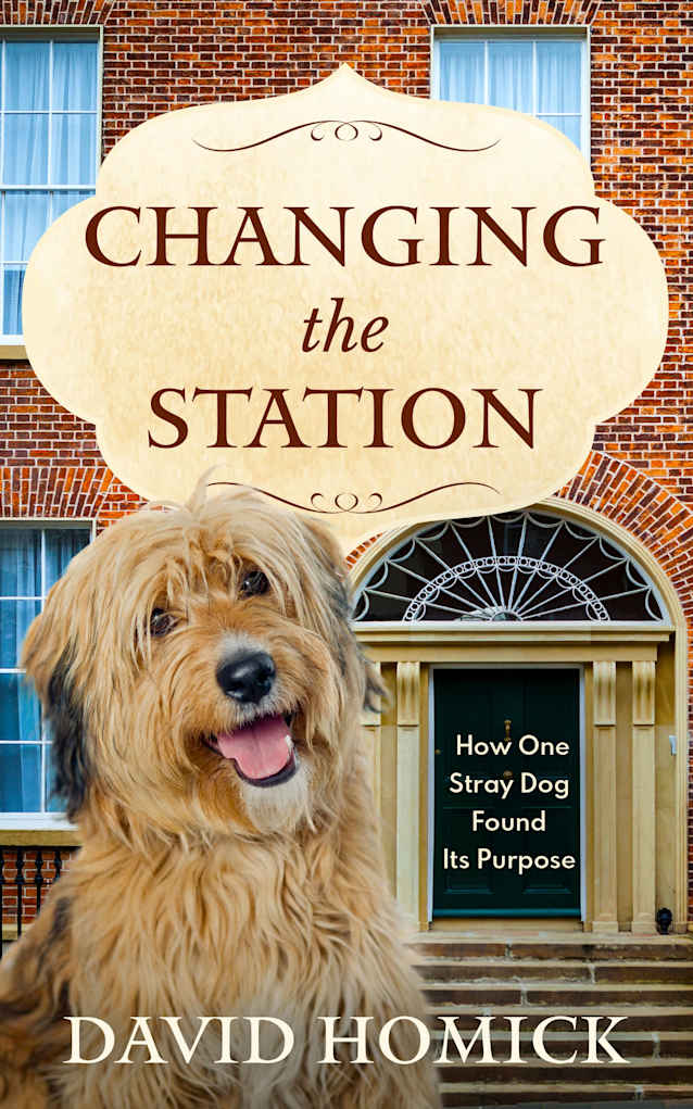 Changing the Station: How One Stray Dog Found Its Purpose