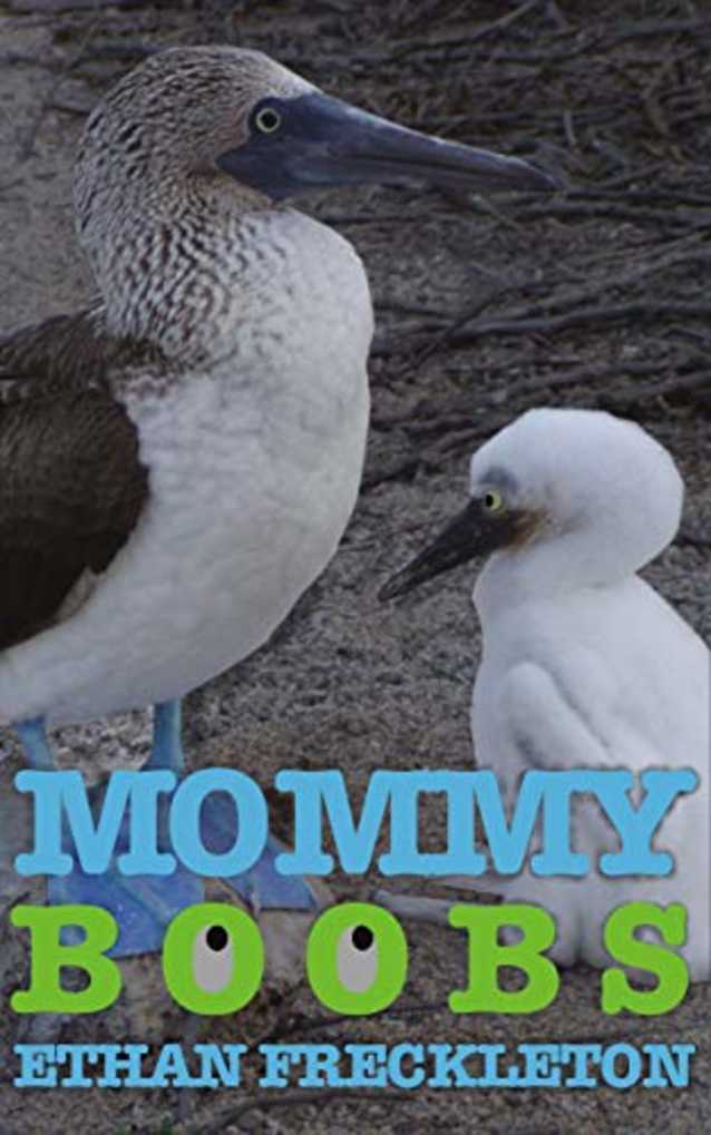 Mommy Boobs: Misadventures in New Age Parenting