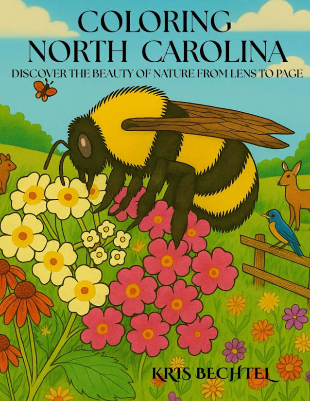 Coloring North Carolina