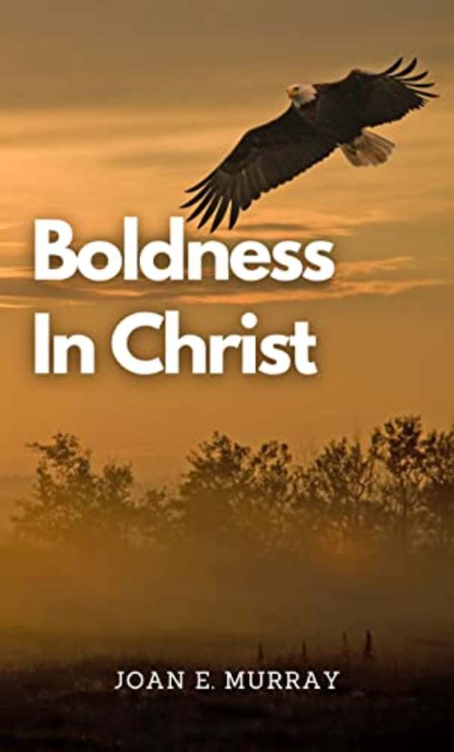 Boldness in Christ (Discovering God!)