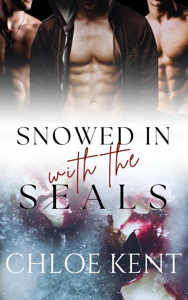 Snowed In With the SEALS (Snowed in with Them Book 1)