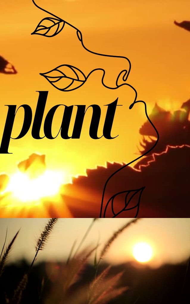 DREAMS ARE AMONGST THE TREES