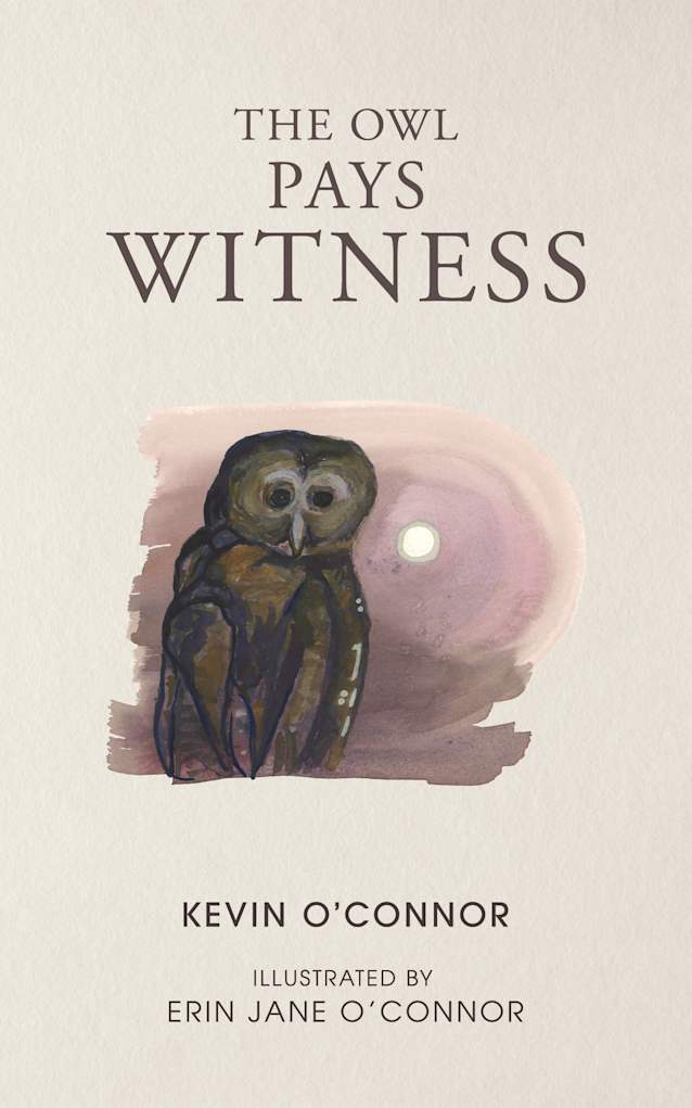 The Owl Pays Witness