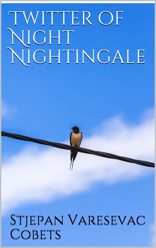 Twitter of Night Nightingale: Collection of poetry