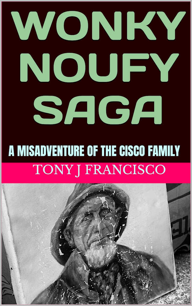 WONKY NOUFY SAGA: A MISADVENTURE OF THE CISCO FAMILY