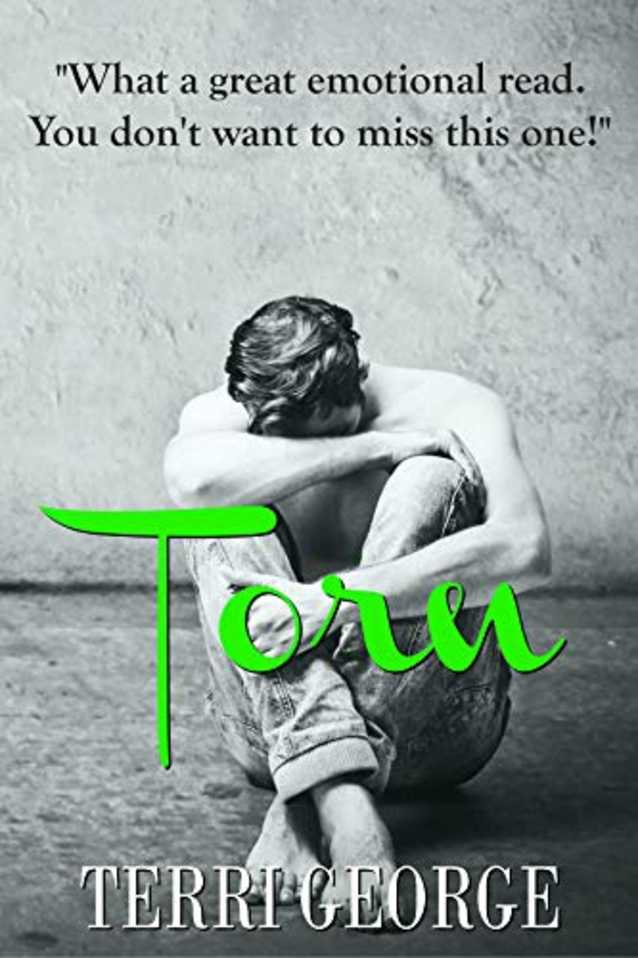 TORN: Frost Trilogy Spin-Off