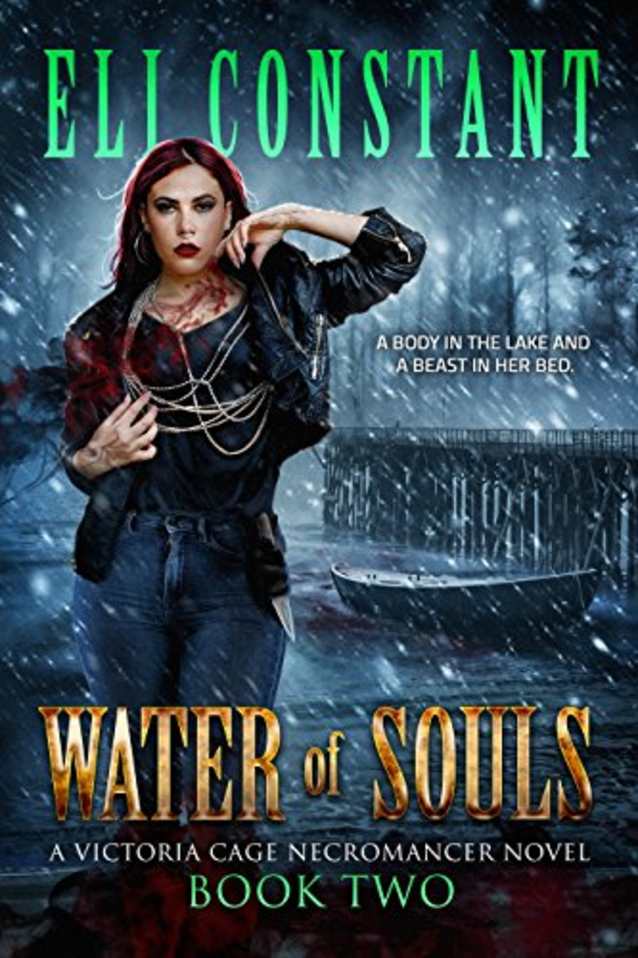 Water of Souls (A Victoria Cage Necromancer Novel Book 2)