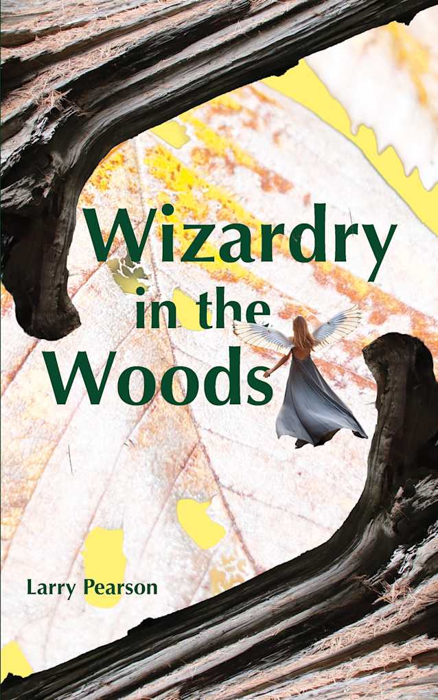 Wizardry in the Woods (Balin’s World)