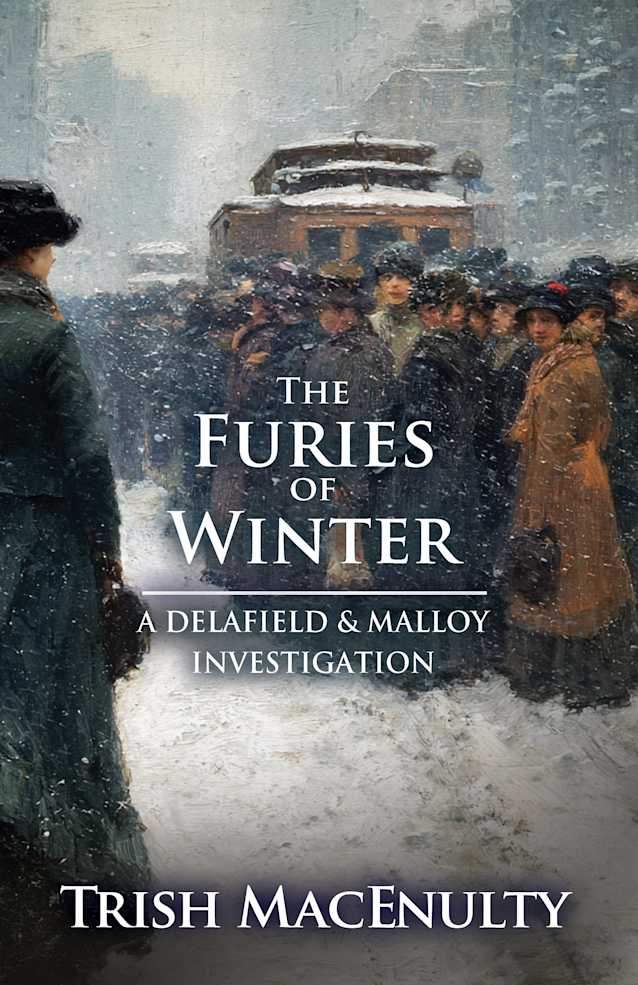 The Furies of Winter: A gripping women’s historical mystery (A Delafield & Malloy Investigation Book 6)