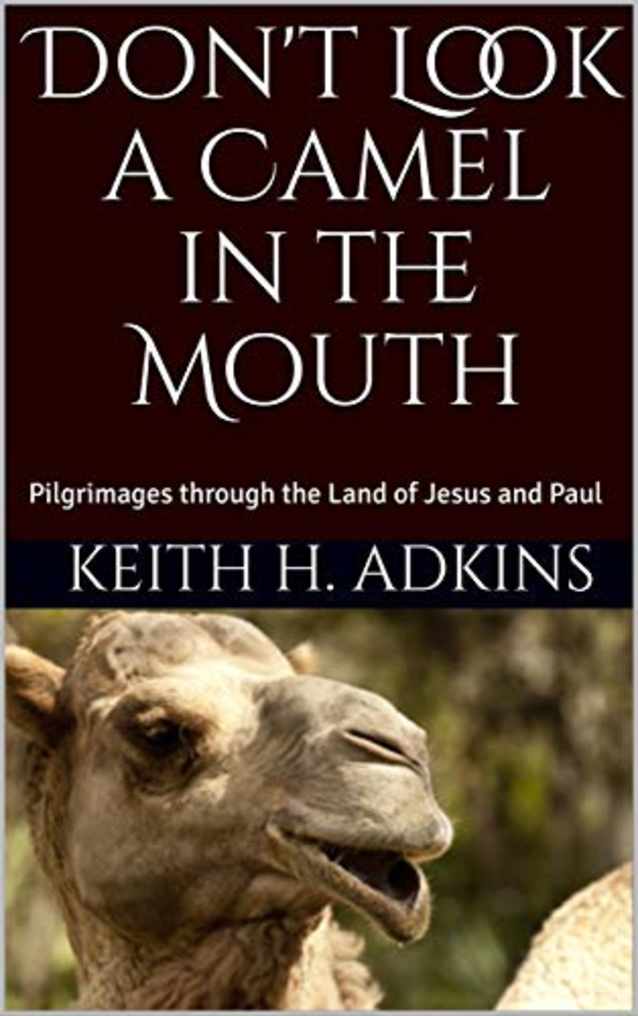 Don’t Look a Camel in the Mouth: Pilgrimages through the Land of Jesus and Paul
