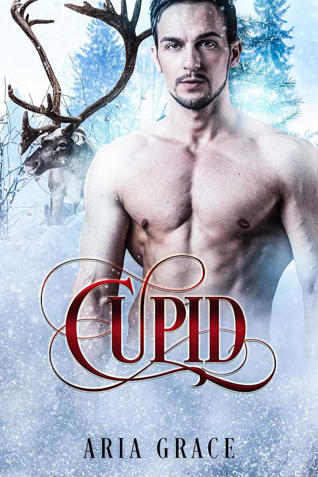 Cupid: An MM Mpreg Holiday Shifter Romance