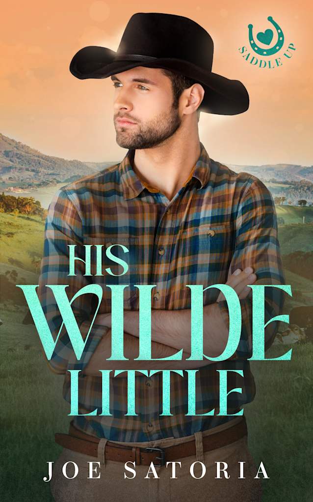 His Wilde Little: An MM Cowboy Daddy Romance