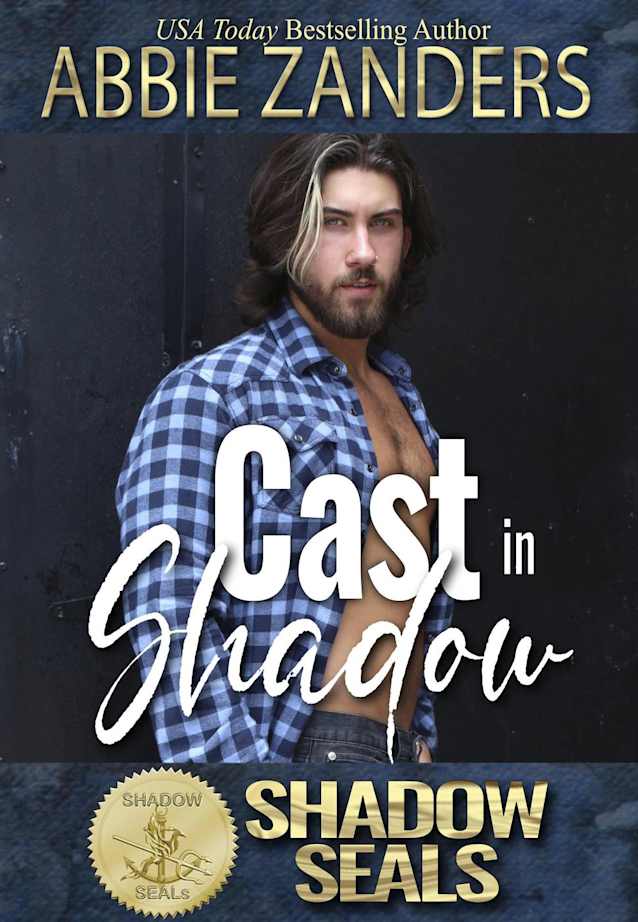Cast in Shadow (Shadow SEALs, #10)
