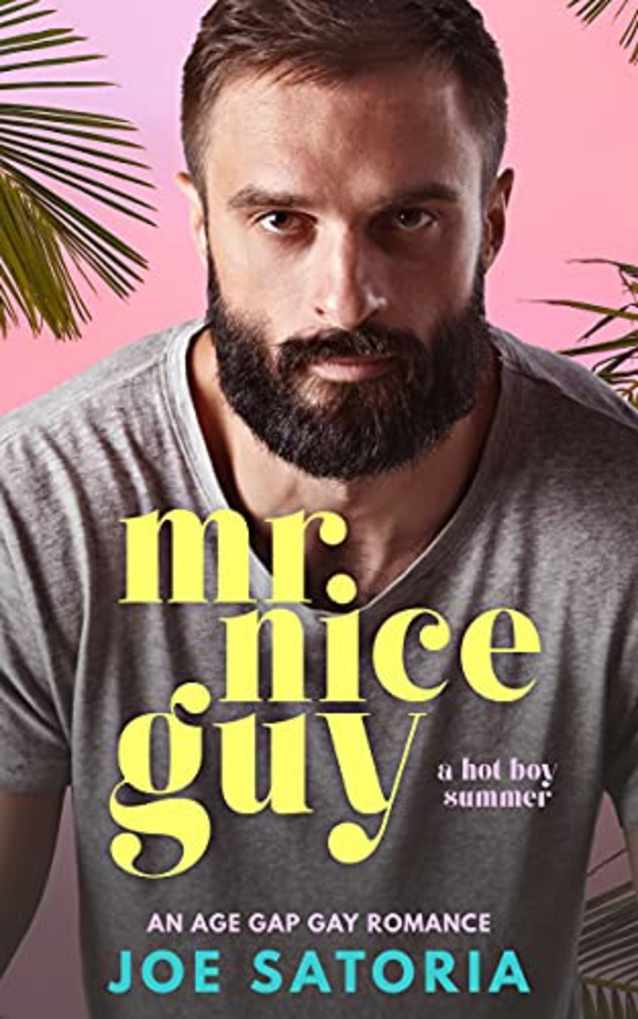 Mr Nice Guy: An Age Gap Gay Romance (Hot Boy Summer)
