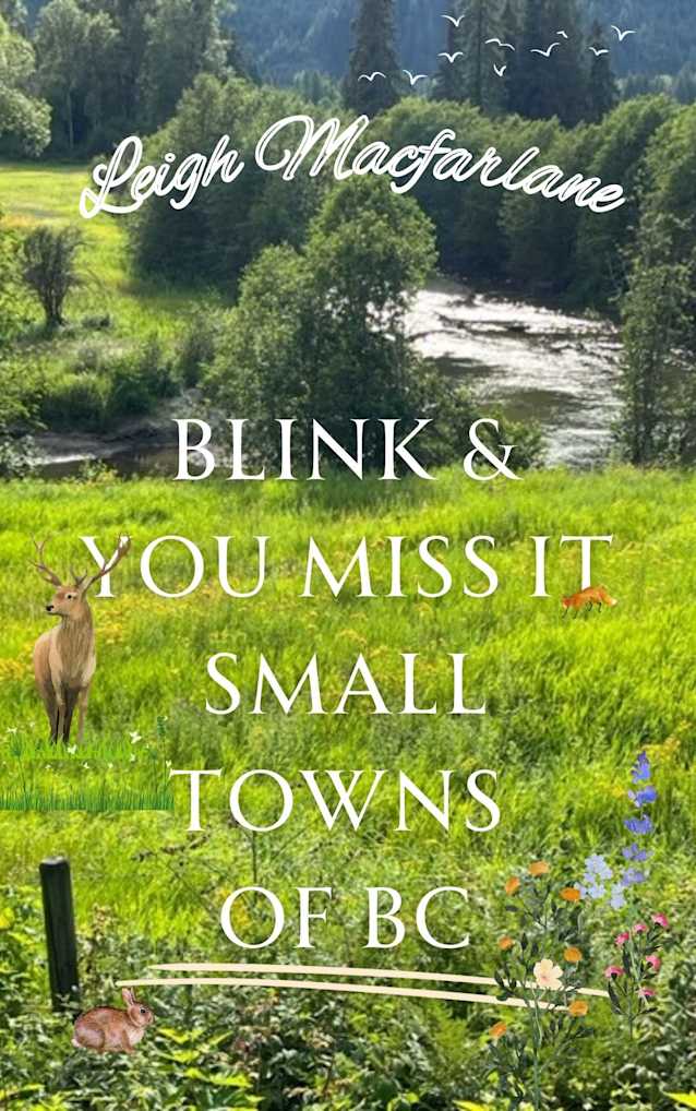 Blink & You Miss It Small Towns of BC