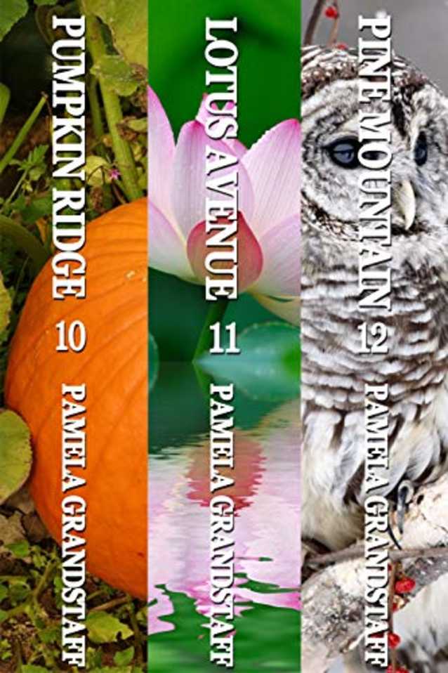 Rose Hill Mystery Series Three-Book Collection: Books 10-12